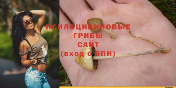 спайс Вязьма