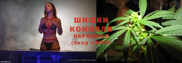 гидра Новодвинск