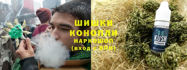 гидра Новодвинск
