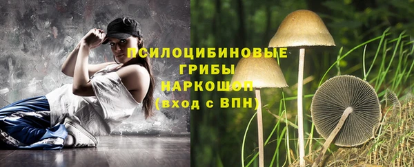 мяу мяу кристалл Вяземский