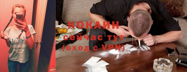 винт Фурманов