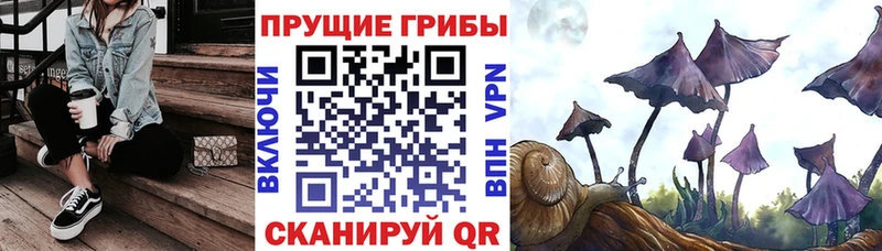 Галлюциногенные грибы MAGIC MUSHROOMS  цена наркотик  Новосокольники 